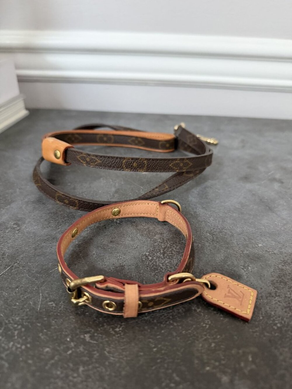LOUIS VUITTON Baxter PM Dog Collar & Leash Small dog